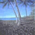 Punaluu Black Sand Beach